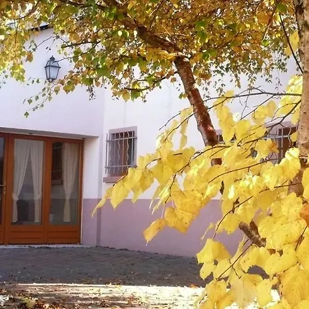 ベッド・アンド・ブレックファスト Gites Et Chambres D'hotes Du Menil